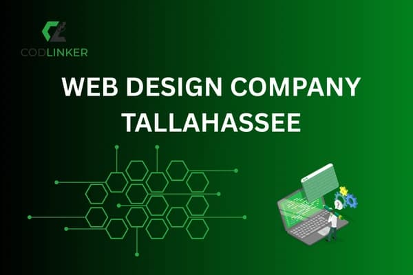 Professional Web Design Company Tallahassee